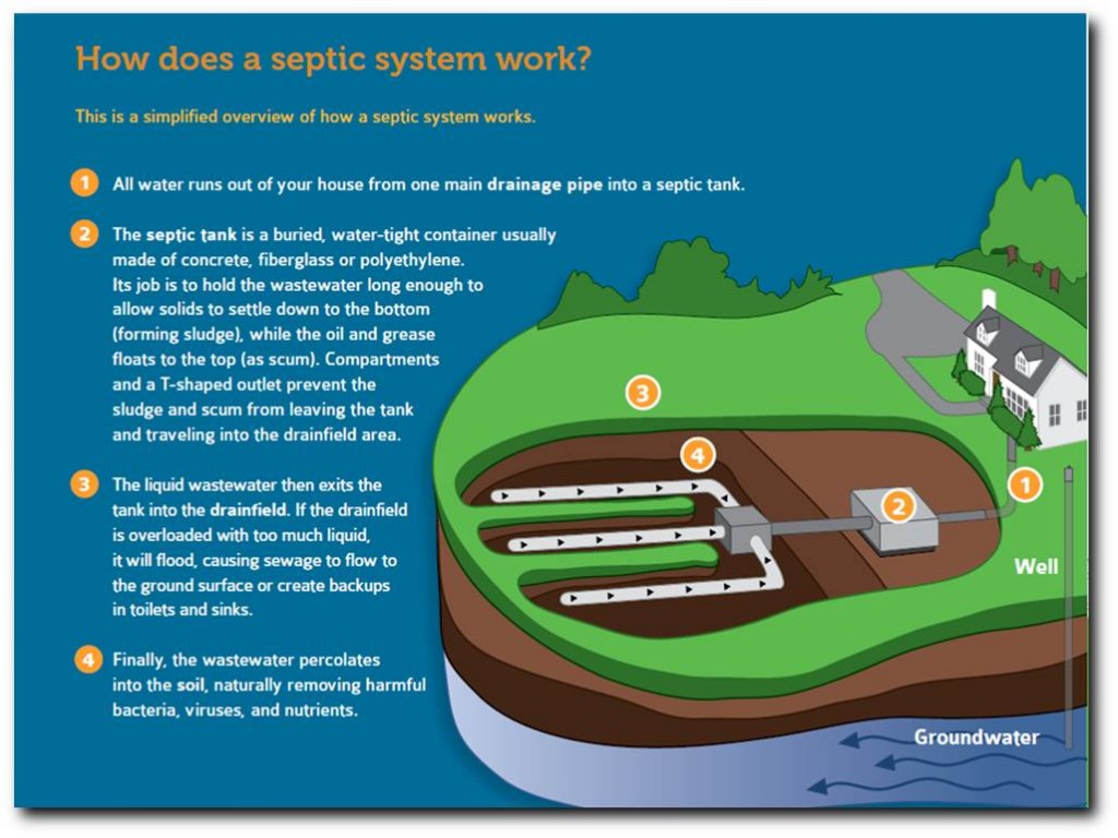 What causes an overloaded wastewater system?